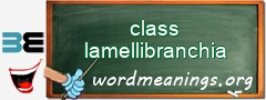 WordMeaning blackboard for class lamellibranchia